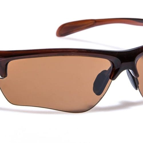 Sunglasses - Elite Honey