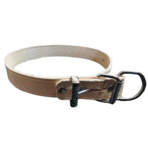 Custom Stamped Dog Collar