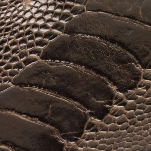 Ostrich Leg