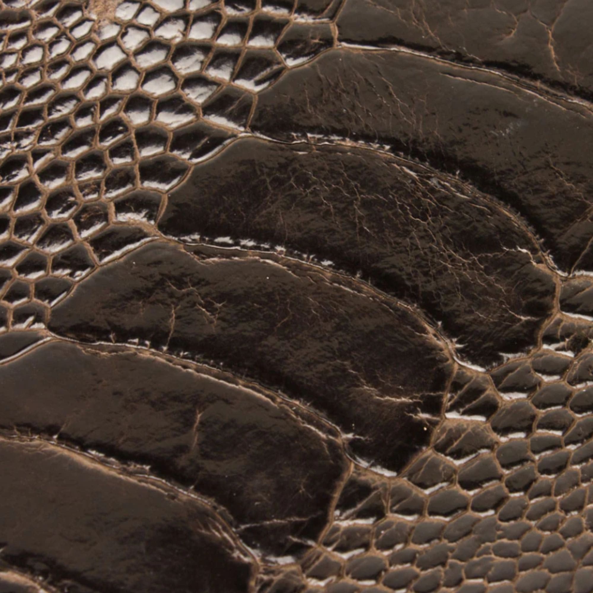 Ostrich Leg