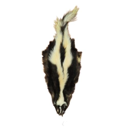Skunk Fur