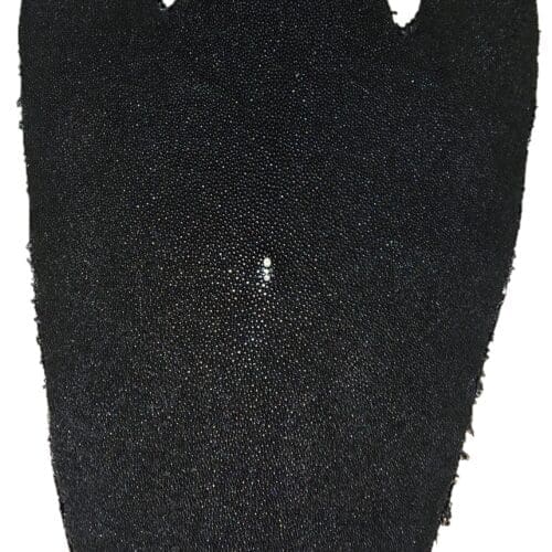 Stingray Skin