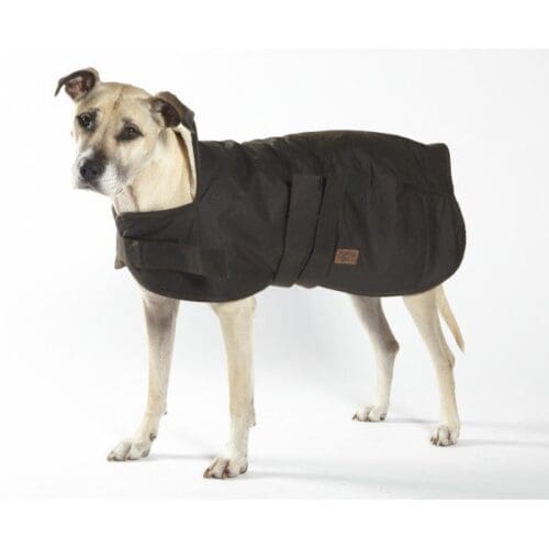 Burke & Wills Oilskin Dog Coat