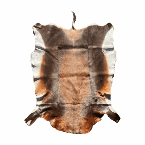 Blesbok Fur Skin Floor Rug