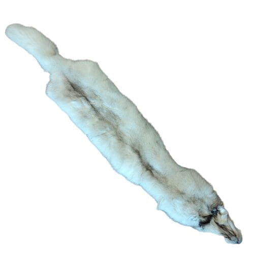 Blue Fox Fur