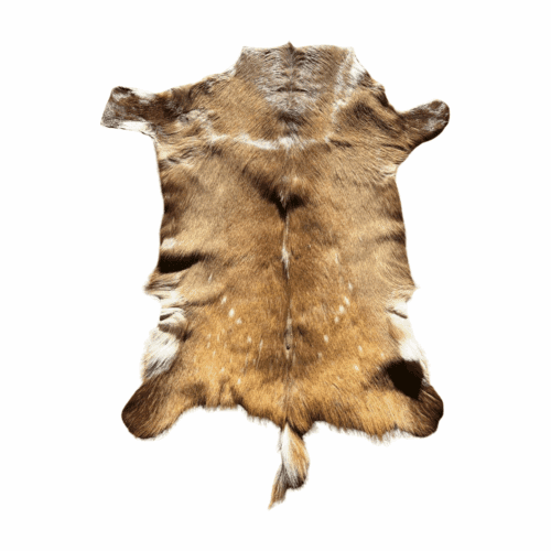 Bushbuck Fur Skin Floor Rug