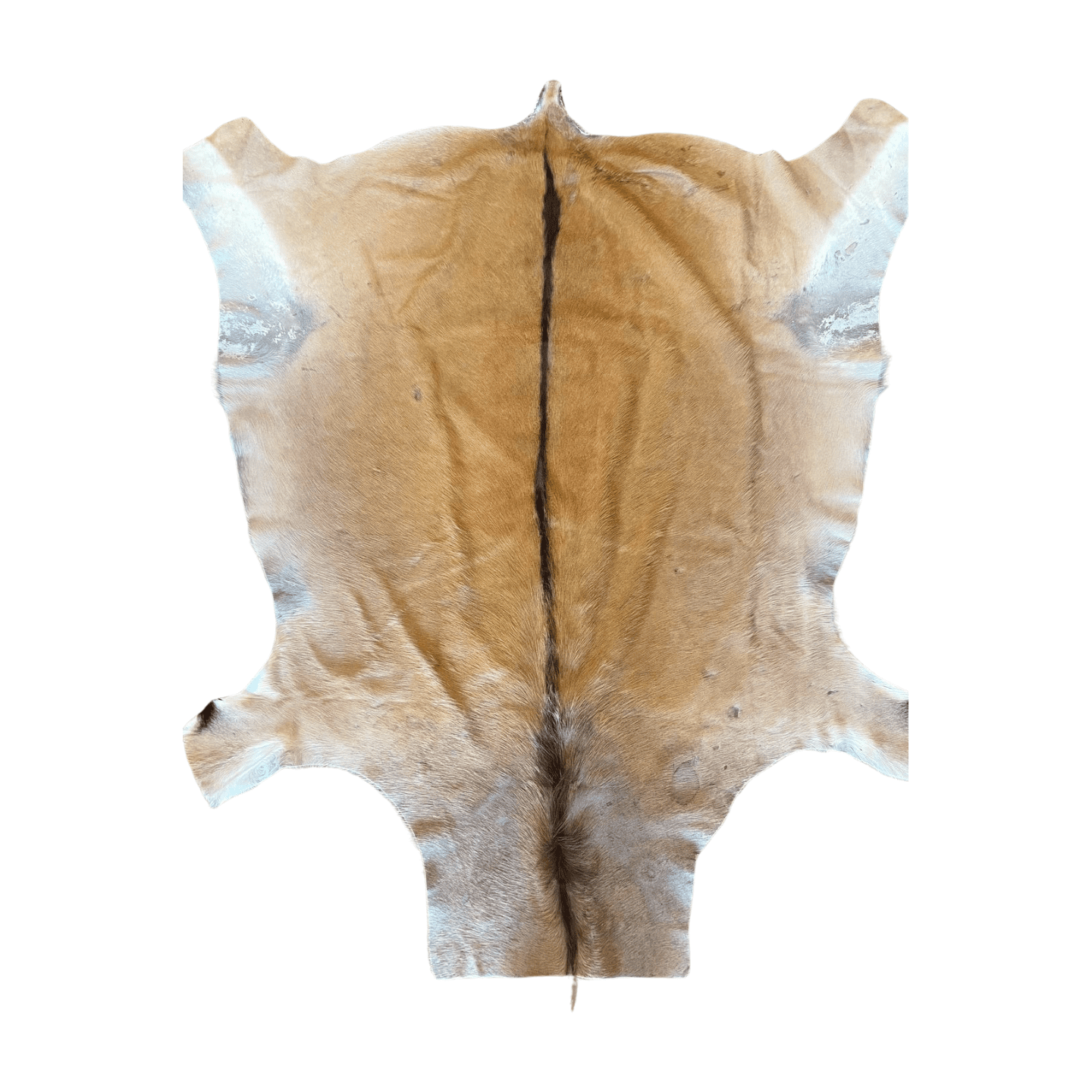 Eland Fur Skin Floor Rug - Simon Martin Whips & Leathercraft