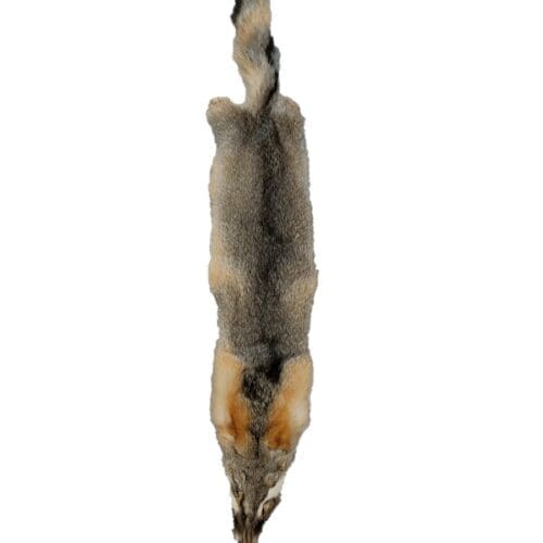 Grey Fox Fur