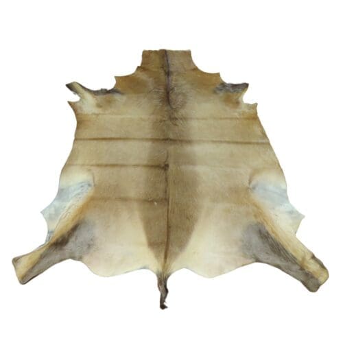 Red Hartebeest Skin