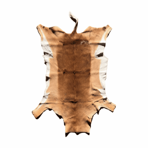 Impala Fur Skin Floor Rug