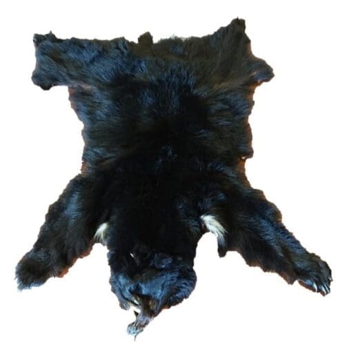 Bear Fur