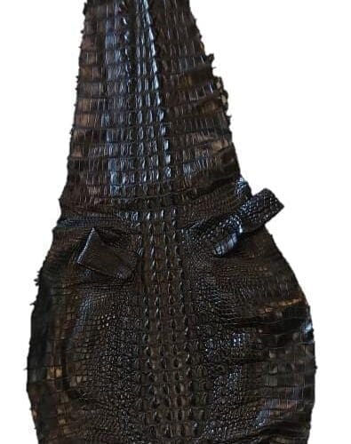 Genuine Crocodile Skin Hornback
