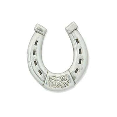 HorseshoeConchoScrew AntqSilv