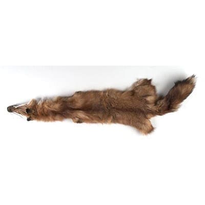 Red Fox Fur