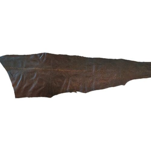 Salmon/Ocean Trout Skin