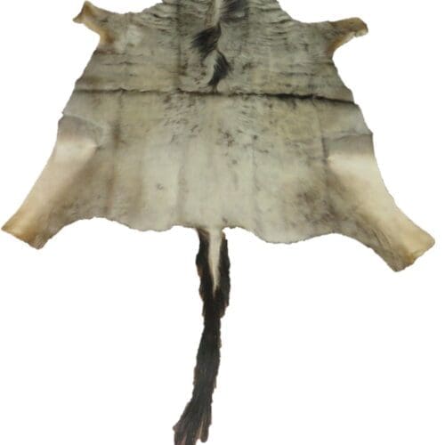Wildebeest Blue Skins