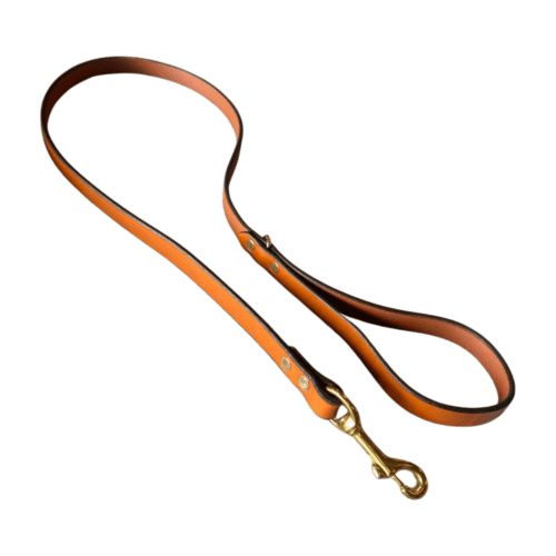 Dog Lead