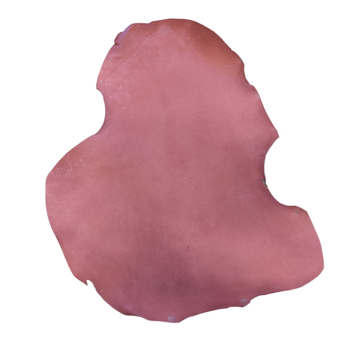 Veg Tanned Kangaroo Leather Skin - Image 9