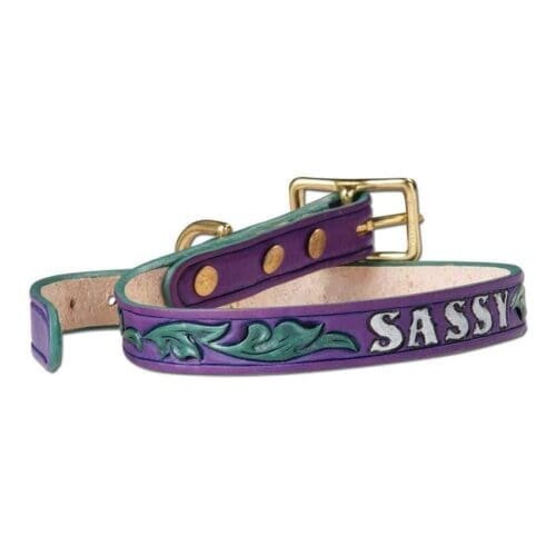 Dog Collar Kits