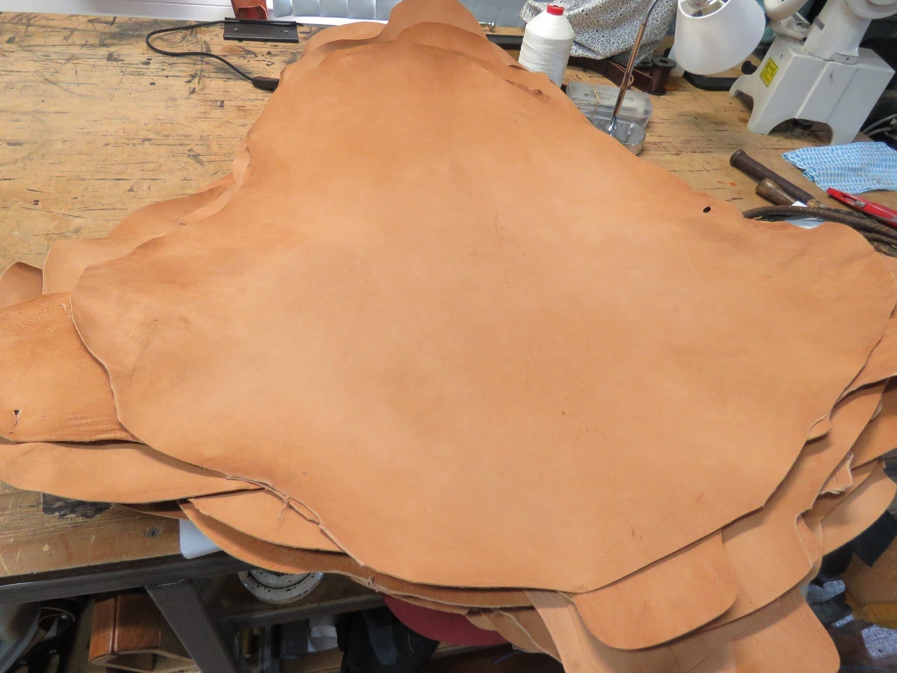 Veg Tanned Kangaroo Leather Skin - Image 6