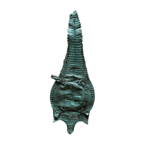 Genuine Crocodile Skin - Belly