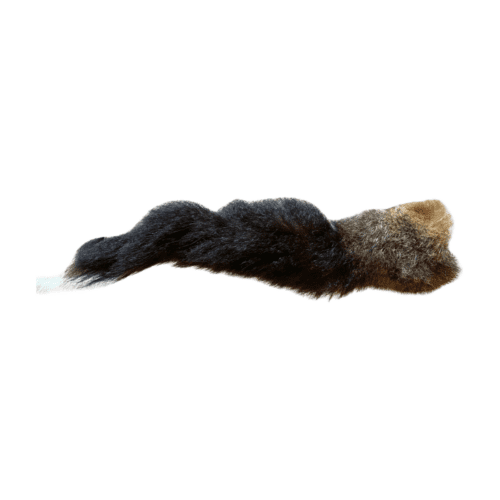 Possum Tail Each